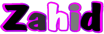 Zahid Z MASCULIN - Maghreb Musulman Prénoms 