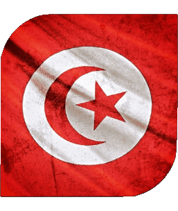 Square Tunisia Africa Flags 