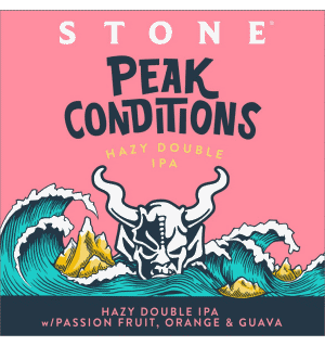 Peak Conditions-Peak Conditions Stone Brewing co USA Bier Getränke 