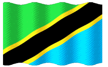 Ondulation Tanzanie Afrique Drapeaux 