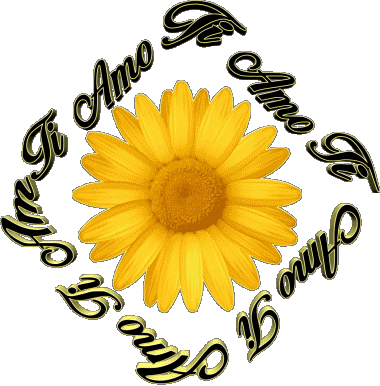 02 Ti Amo Italiano Messagi 