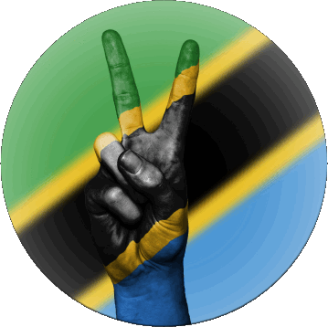 Rond Tanzanie Afrique Drapeaux 