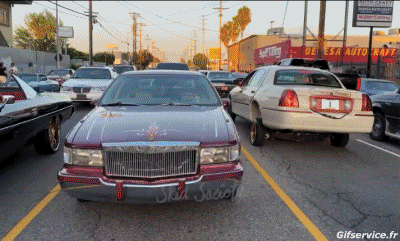 Lowriding Cars Transport Humor -  Fun 