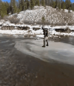 Fun - Win Sul ghiaccio PERSONE Umorismo -  Fun 