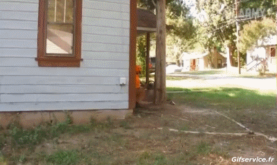 Idiot  Fail Serie 02 At work PEOPLE Humor -  Fun 