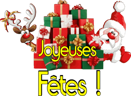 Serie 05 Joyeuses Fêtes (Noël) French Messages 