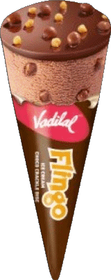 Vadilal Glaces Nourriture 