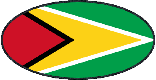 Oval Guyana Amerika Fahnen 