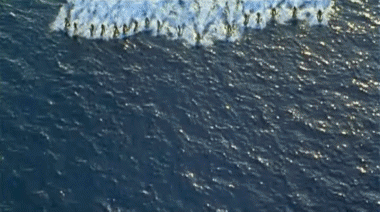 Waterworld Waterworld V International Multimedia 