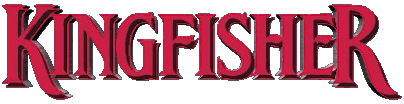 Kingfisher Inde Bières Boissons 