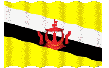 Waving Brunei Asia Flags 
