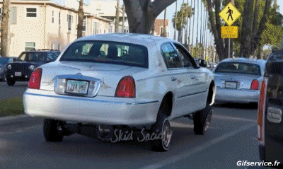 Lowriding Voitures Transports Humour - Fun 