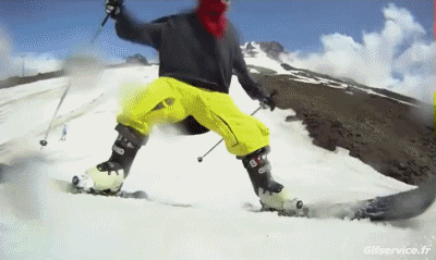Free Style Fun Win Ski Sport Humor -  Fun 
