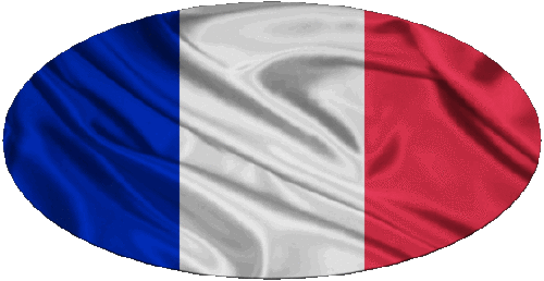 Ovale Nazionale Francia Bandiere 