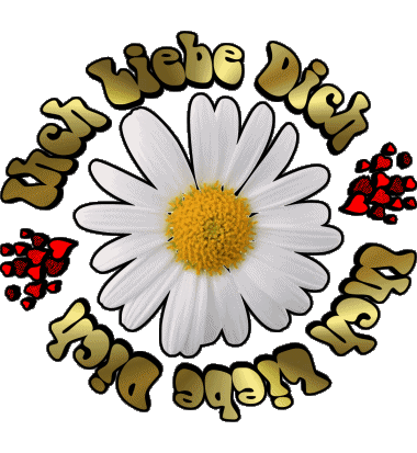 04 Ich Liebe Dich Tedesco Messagi 