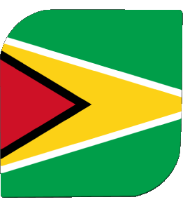 Square Guyana America Flags 