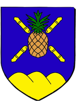 Wappen-Wappen LE GROS MORNE 972 Abteilungen - Städte Frankreich Fahnen 