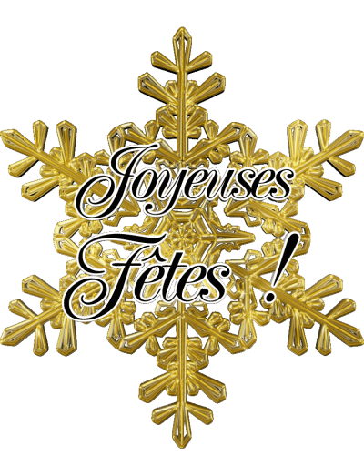 Serie 24 Joyeuses Fêtes (Noël) Français Messages 