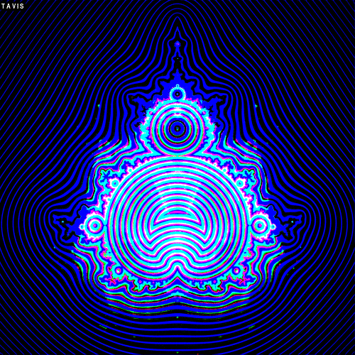 Bill Tavis GIF Artista Humor - Fun 