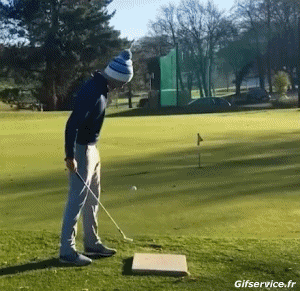 Fun Win Golf Sports Humor -  Fun 