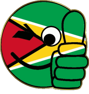 Faccina - OK Guyana America Bandiere 