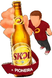 Skol Brazil Beers Drinks 