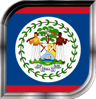 Square Belize America Flags 