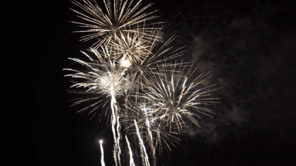 Video Bonne Année 2026 French Messages 