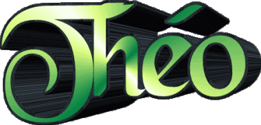 Théo T MASCULINE - France First Names 