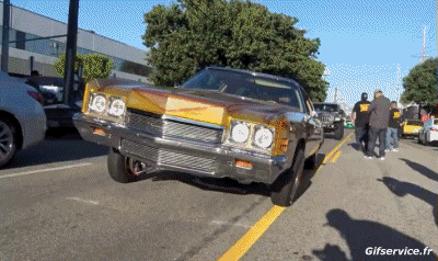 Lowriding Voitures Transports Humour - Fun 