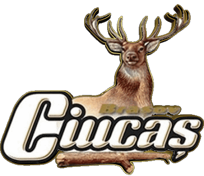 Ciucas Romania Birre Bevande 