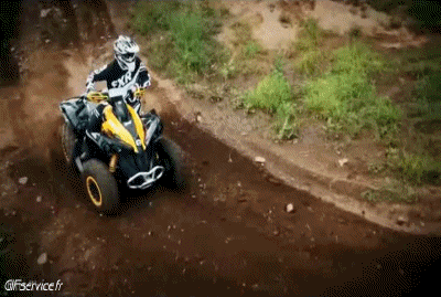 Fun - Win Quad Transporte Humor - Fun 