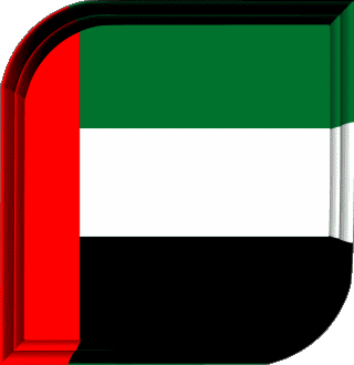 Carré Emirats Arabes Unis Asie Drapeaux 