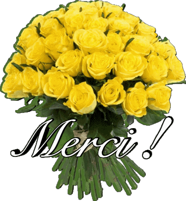 011 Merci Français Messages 