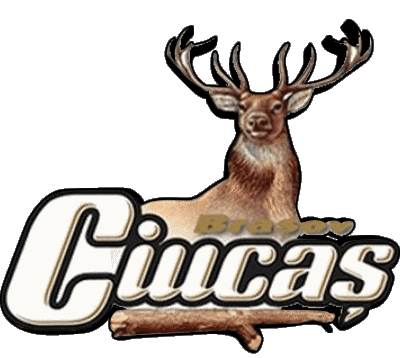 Ciucas Roumanie Bières Boissons 