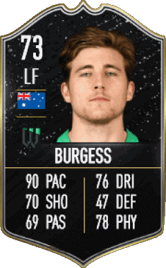 Max Burgess Australia F I F A - Card Players Video Games Multi Media 