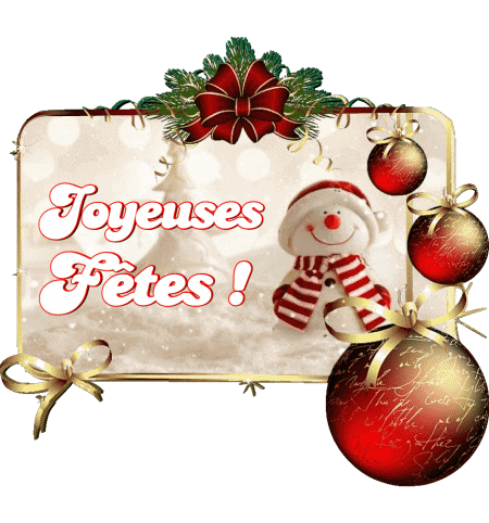 Serie 10 Joyeuses Fêtes (Noël) French Messages 
