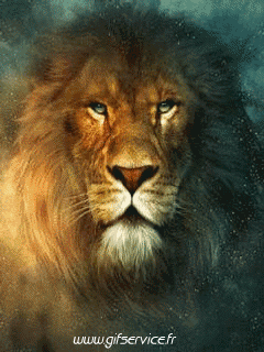 01 Lions Animals Humor -  Fun 