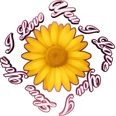 02 I Love You English Messages 