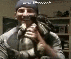 Serie 01 Chiens Animaux Humour - Fun 