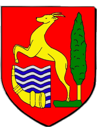 CENON 33 Departments - Cities France Flags 