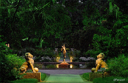 Stéreoscopique Wiggle 3d Effects Humor -  Fun 