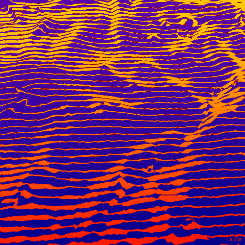 Bill Tavis GIF Artista Umorismo -  Fun 