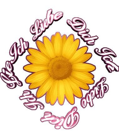 02 Ich Liebe Dich Alemán Mensajes 