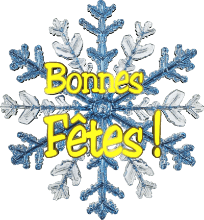 Serie 18 Bonnes Fêtes (Noël) French Messages 