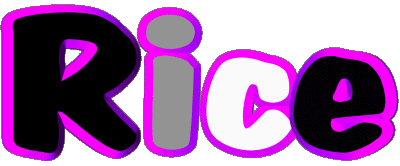 Rice R MASCULIN - France Prénoms 