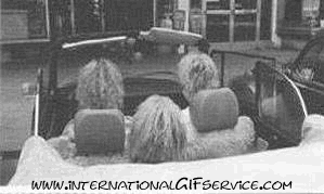 Serie 01 Chiens Animaux Humour - Fun 