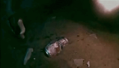 Waterworld Waterworld Film Internazionale Multimedia 