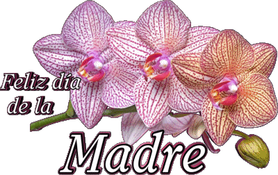 05 Feliz día de la madre Español Mensajes 