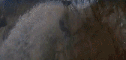 Video En la Mira de los Asesinos James Bond 007 Películas Internacional Multimedia 